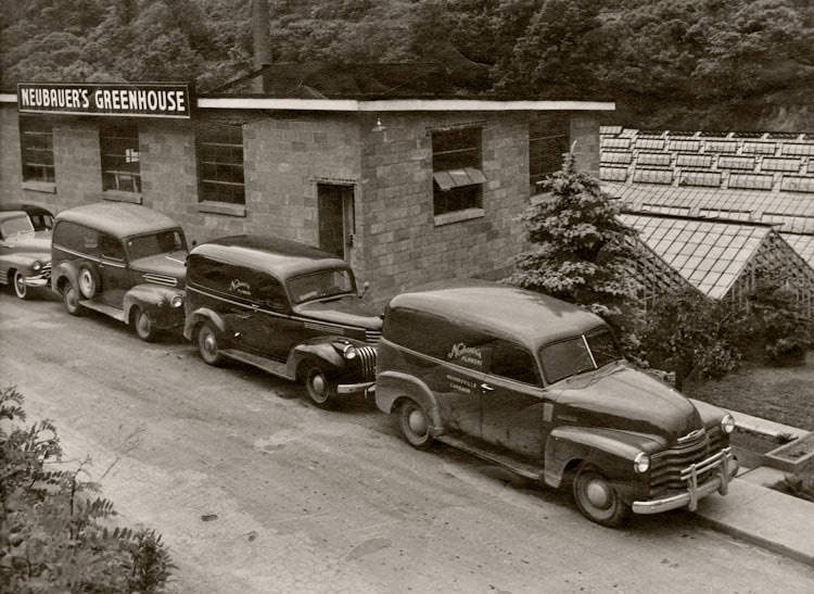 A line of early delivery trucks await product outside our greenhouse, circa 1930